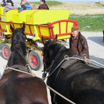 ferienwohnung-cuxhaven-wattwagenfahrt-3