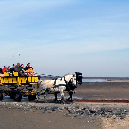 ferienwohnung-cuxhaven-wattwagenfahrt-8