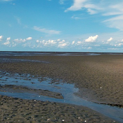 ferienwohnung-cuxhaven-doese-wattenmeer-4