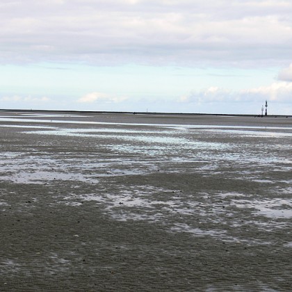 ferienwohnung-cuxhaven-wattenmeer-19