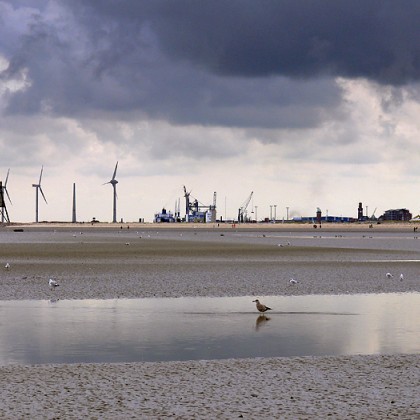 ferienwohnung-cuxhaven-wattenmeer-26