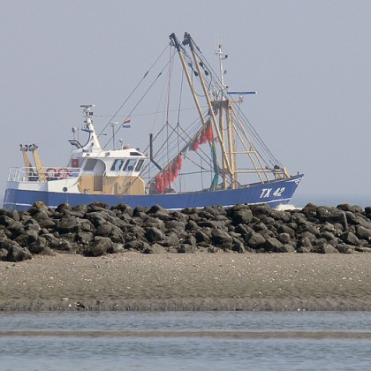 ferienwohnung-cuxhaven-wattenmeer-29