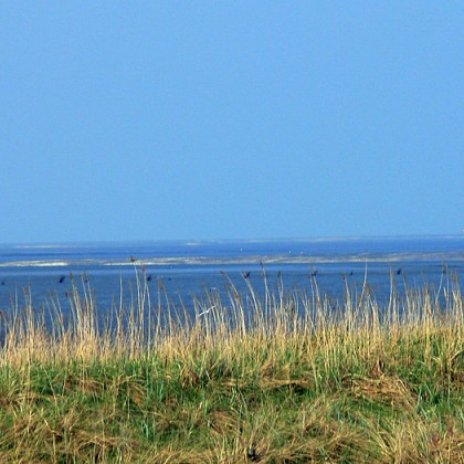 ferienwohnung-cuxhaven-wattenmeer-31