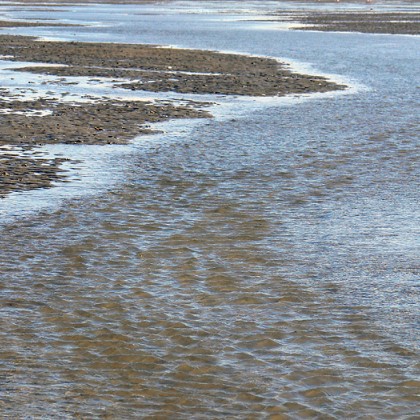 ferienwohnung-cuxhaven-wattenmeer-37