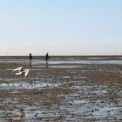 ferienwohnung-cuxhaven-wattenmeer-4