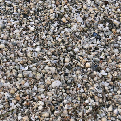 ferienwohnung-cuxhaven-wattenmeer-6