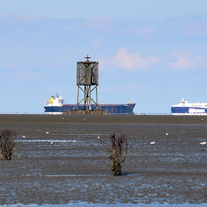 ferienwohnung-cuxhaven-wattwanderung-scharhoern-13