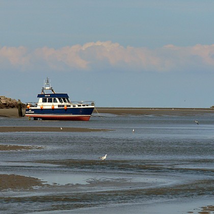 ferienwohnung-cuxhaven-wattwanderung-scharhoern-8