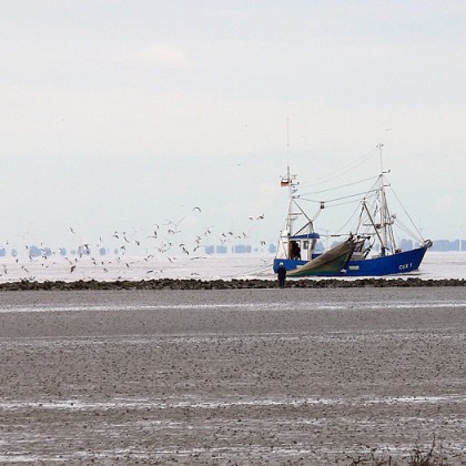 ferienwohnung-cuxhaven-schiffe-28